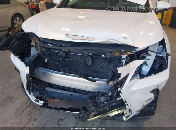 2T2GGCEZ1NC009446 2022 LEXUS NX 350 White Դիմացի տեսք