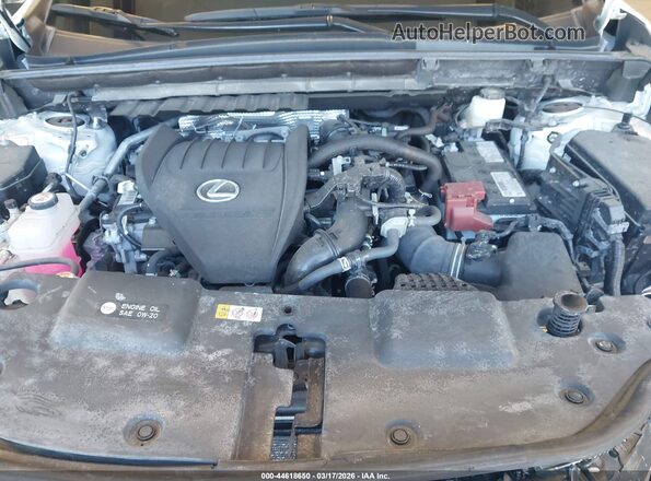 2T2GGCEZ1NC009446 2022 LEXUS NX 350 White Հետևի տեսք