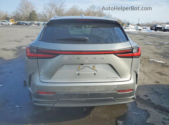 2T2GGCEZ1RC038838 2024 LEXUS NX Gray უკანა ხედი