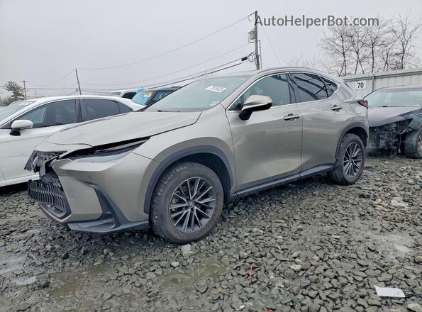 2T2GGCEZ2NC013960 2022 LEXUS NX Gray Vista tres cuartos delantera izquierda
