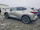 2022 Lexus Nx 350 Gray vin: 2T2GGCEZ2NC013960