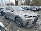 2022 Lexus Nx 350 Gray vin: 2T2GGCEZ2NC013960