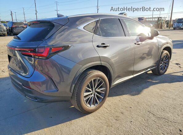 2T2GGCEZ2PC029322 2023 LEXUS NX Gray უკანა მარჯვენა