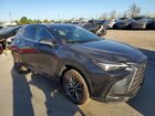 2023 Lexus Nx 350 Premium Gray vin: 2T2GGCEZ2PC029322