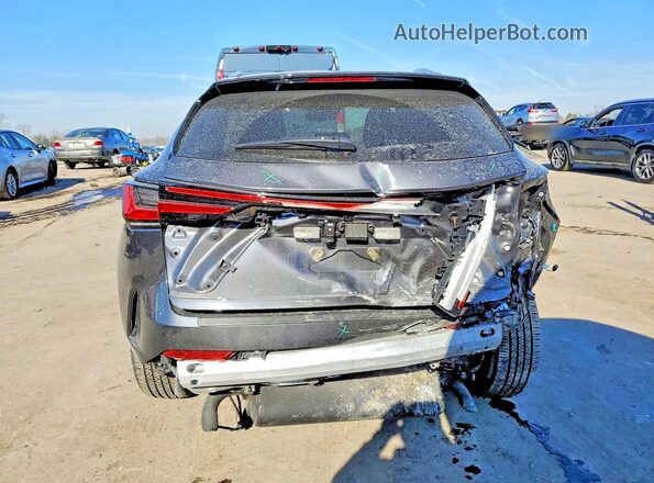 2T2GGCEZ3SC067876 2025 LEXUS NX Gray Вид ззаду