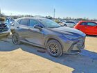 2025 Lexus Nx 350 Premium Gray vin: 2T2GGCEZ3SC067876