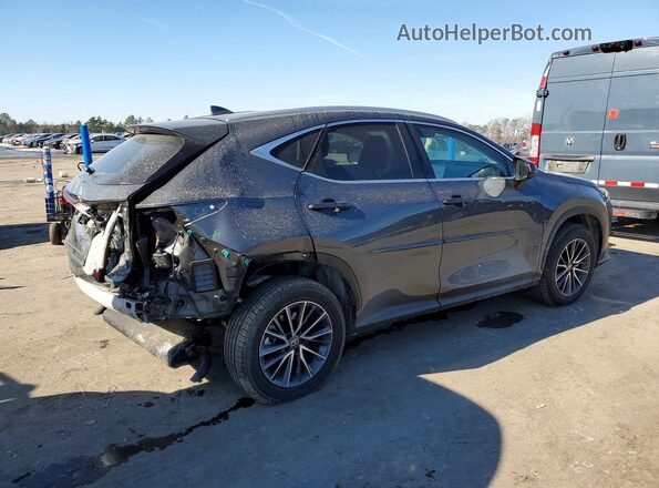2T2GGCEZ3SC067876 2025 LEXUS NX Gray Задня права чверть