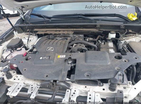 2T2GGCEZ5NC011961 2022 LEXUS NX 350 Белый Вид сзади