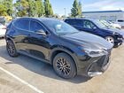 2023 Lexus Nx 350 Premium Black vin: 2T2GGCEZ5PC029265