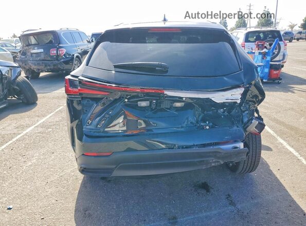 2T2GGCEZ5PC029265 2023 LEXUS NX Black Вид ззаду