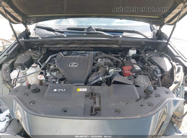 2T2GGCEZ5PC031873 2023 LEXUS NX 350 Green Widok z tyłu