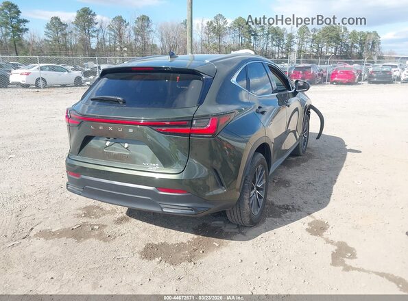 2T2GGCEZ5PC031873 2023 LEXUS NX 350 Green Tył prawy