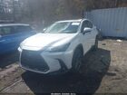 2025 Lexus Nx 350 Premium White vin: 2T2GGCEZ5SC087031