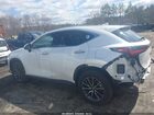 2025 Lexus Nx 350 Premium White vin: 2T2GGCEZ5SC087031