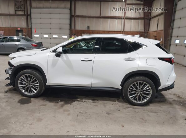 2T2GGCEZ5TC107845 2026 LEXUS NX 350 White სალონის 360-გრადუსიანი ხედი