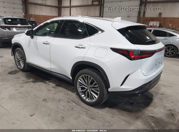 2T2GGCEZ5TC107845 2026 LEXUS NX 350 White უკანა მარცხენა