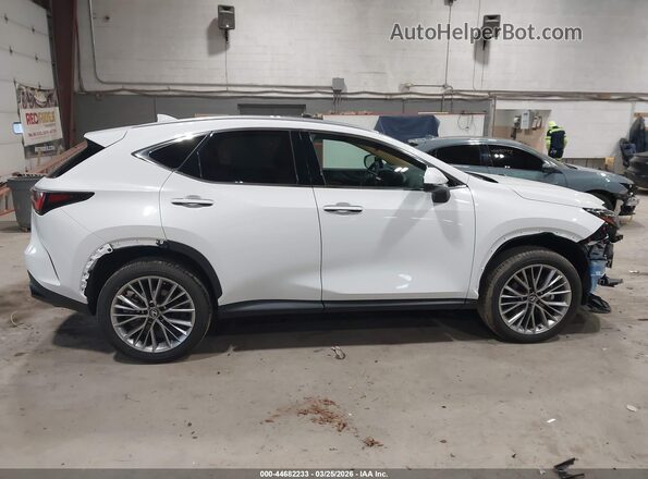 2T2GGCEZ5TC107845 2026 LEXUS NX 350 White უკანა სალონის ხედი
