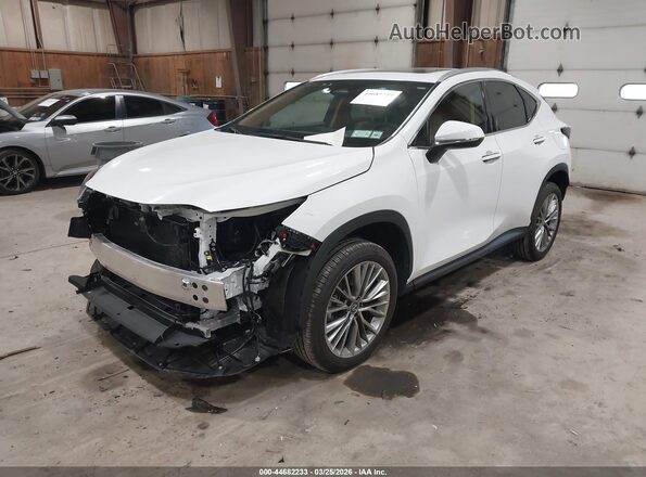 2T2GGCEZ5TC107845 2026 LEXUS NX 350 White წინა მარცხენა ხედი სამი მეოთხედიდან