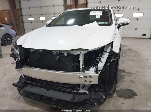 2T2GGCEZ5TC107845 2026 LEXUS NX 350 White წინა ხედი