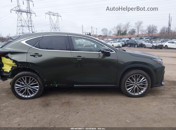 2T2GGCEZ7SC076290 2025 LEXUS NX 350 Green Widok wnętrza 360 stopni