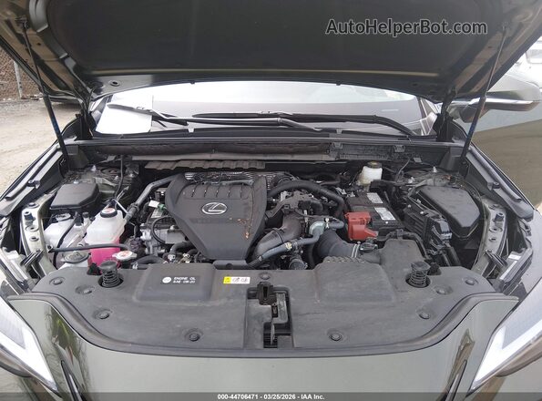 2T2GGCEZ7SC076290 2025 LEXUS NX 350 Green Widok z tyłu
