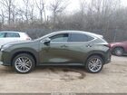 2025 Lexus Nx 350 Premium Green vin: 2T2GGCEZ7SC076290 2025 Lexus Nx 350 Premium Green vin: 2T2GGCEZ7SC076290