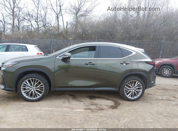 2T2GGCEZ7SC076290 2025 LEXUS NX 350 Green 