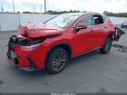 2025 Lexus Nx 350 Premium Red vin: 2T2GGCEZ7SC077665