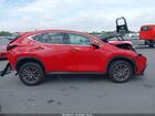 2025 Lexus Nx 350 Premium Red vin: 2T2GGCEZ7SC077665