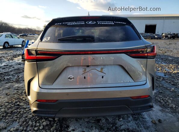 2T2GGCEZ7TC106647 2026 LEXUS NX Gray Rear view