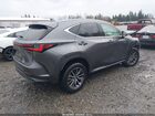 2023 Lexus Nx 350 Premium Gray vin: 2T2GGCEZ8PC019197