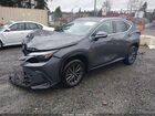 2023 Lexus Nx 350 Premium Gray vin: 2T2GGCEZ8PC019197