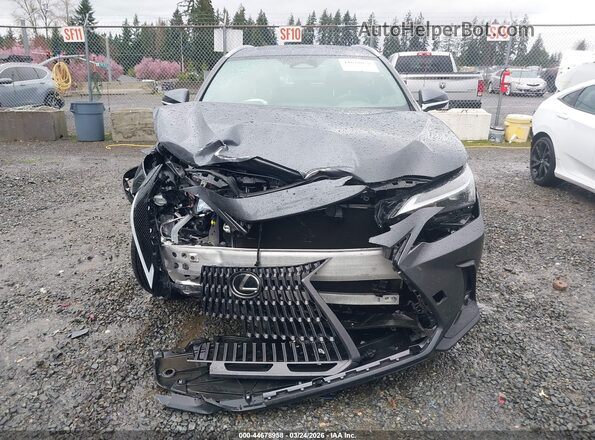 2T2GGCEZ8PC019197 2023 LEXUS NX 350 Gray Вид задньої частини салону