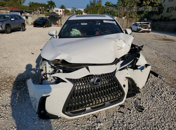 2T2GGCEZ8TC096212 2026 LEXUS NX White Widok z przodu
