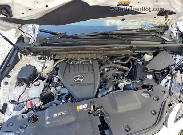 2T2GGCEZ8TC096212 2026 LEXUS NX White Widok komory silnika