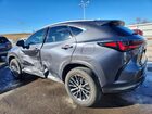 2023 Lexus Nx 350 Premium Серый vin: 2T2GGCEZ9PC020181