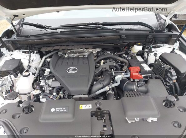 2T2GGCEZXTC102477 2026 LEXUS NX 350 White Вид ззаду