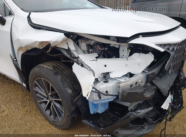 2T2GGCEZXTC102477 2026 LEXUS NX 350 White Вид спереду