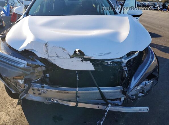 2T2GGCEZXTC107999 2026 LEXUS NX White Engine compartment view