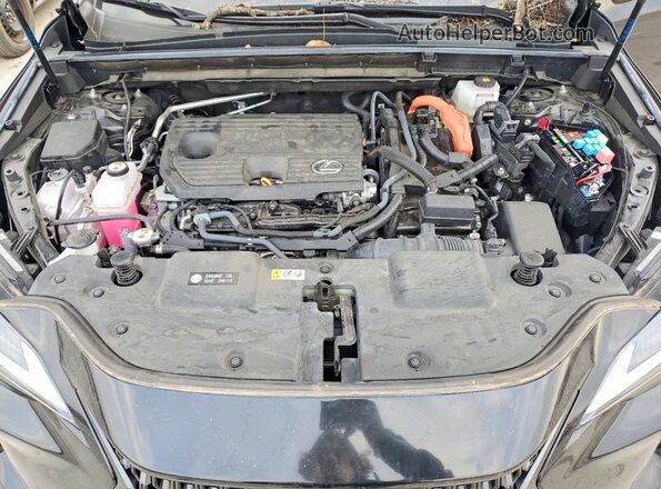 2T2GKCEZ0RC021561 2024 LEXUS NX Black Vista del compartimento del motor