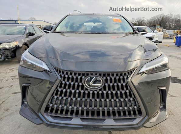 2T2GKCEZ0RC021561 2024 LEXUS NX Black Vista frontal