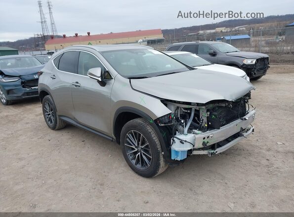 2T2GKCEZ2RC022470 2024 LEXUS NX 350H Tan Առջևի աջ