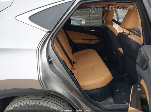 2T2GKCEZ2RC022470 2024 LEXUS NX 350H Tan VIN կոդի պիտակի տեսք