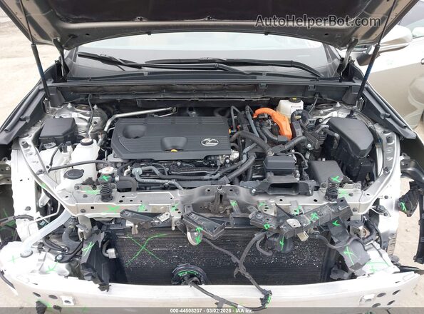 2T2GKCEZ2RC022470 2024 LEXUS NX 350H Tan Հետևի տեսք