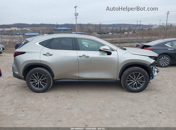 2T2GKCEZ2RC022470 2024 LEXUS NX 350H Tan Սալոնի 360 աստիճան տեսք