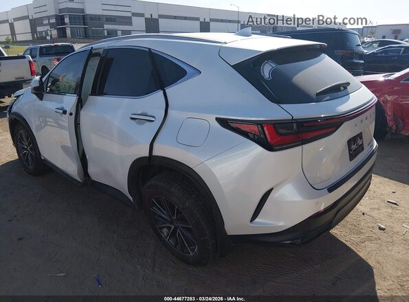 2T2GKCEZ5PC011315 2023 LEXUS NX 350H White უკანა მარცხენა