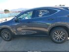 2025 Lexus Nx 350h Premium Gray vin: 2T2GKCEZ5SC054951