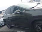 2024 Lexus Nx 350h Premium Зеленый vin: 2T2GKCEZ9RC026029