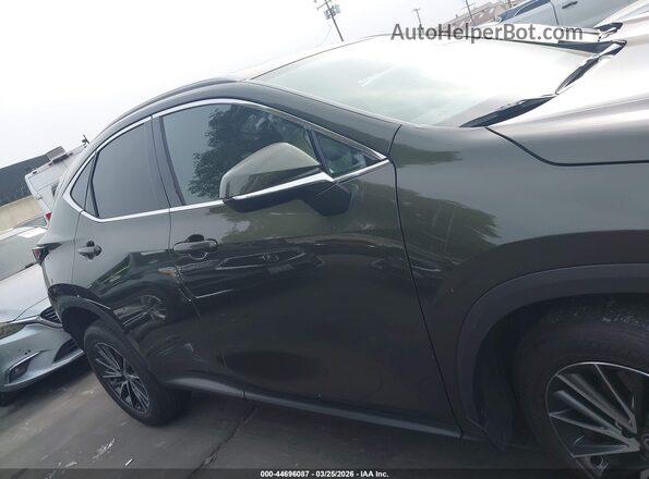 2T2GKCEZ9RC026029 2024 LEXUS NX 350H Зеленый Вид задней части салона