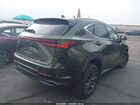 2024 Lexus Nx 350h Premium Зеленый vin: 2T2GKCEZ9RC026029
